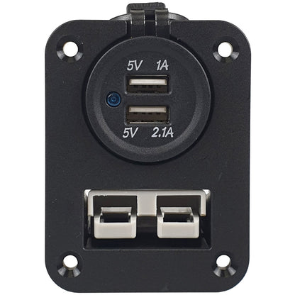 Voltflow Andersen Plug Flush Mount with Dual USB - AP50FMUSB