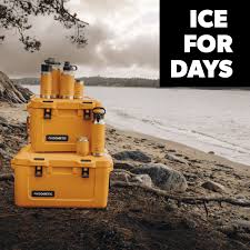 Dometic Patrol Ice Box 20L  - Glow